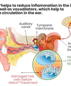 ODALIT™ Tinnitus Relief Ear Drops