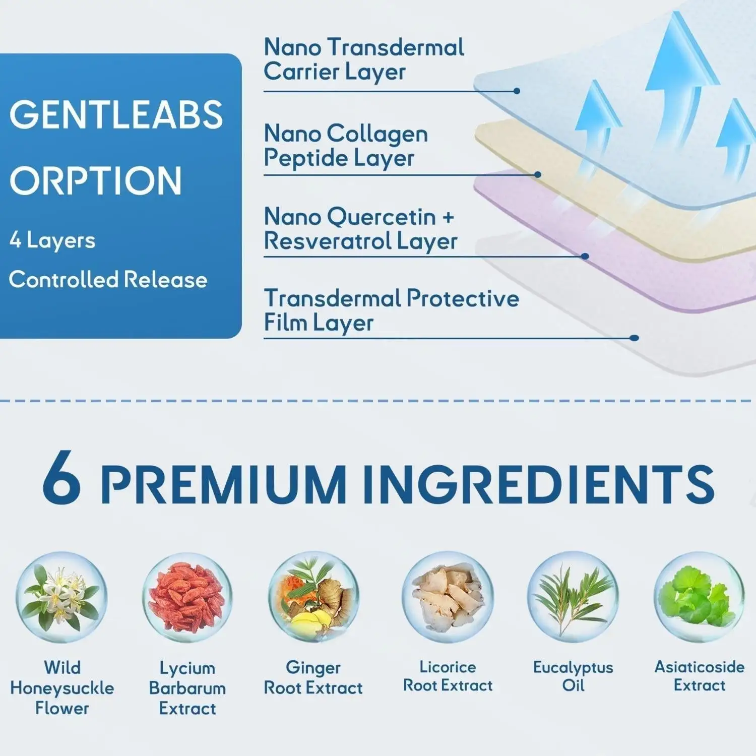 ODALIT™ DoubleNano COPD Relief Patch