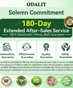 ODALIT® L-Carnitine × Retinol | Slimming & Firming 2-in-1 Nano Microneedle Patch