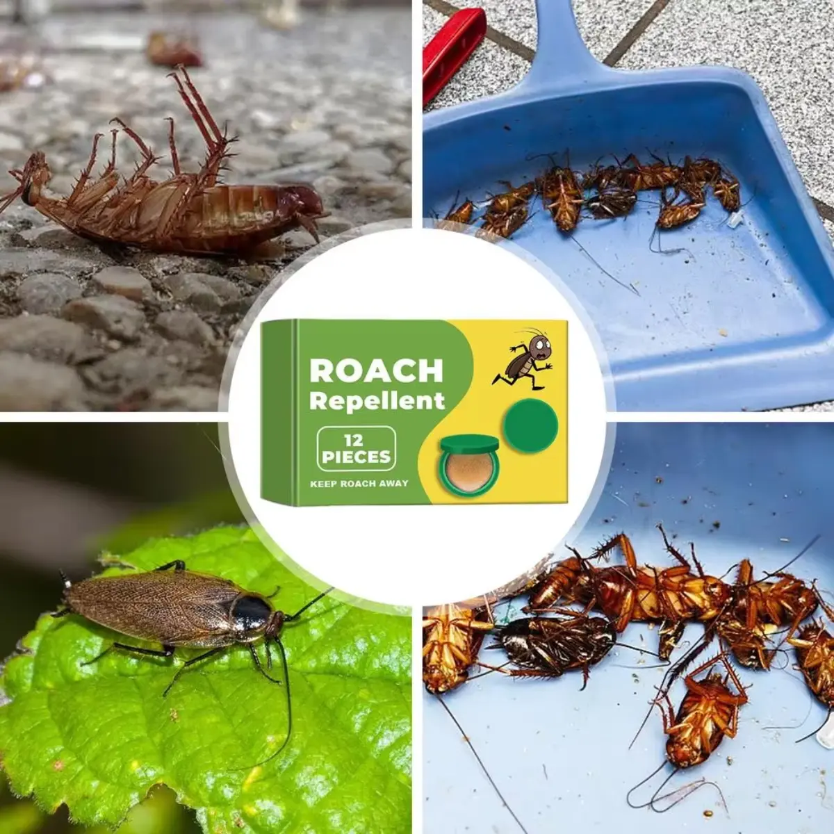 ODALIT™ Plant-Powered Roach Repellent