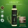 ODALIT™ Rosemary Hydrolyzed Keratin Shampoo